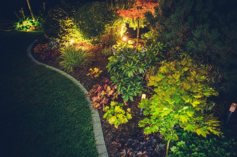 oświetlony ogród