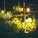 ogród oświetlony nocą
